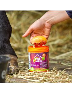 Gel Tendones Defatigante Equinatura Ice Cool 2