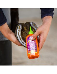 Higienizador de Cascos Equinatura Frog & Sole Protect 2