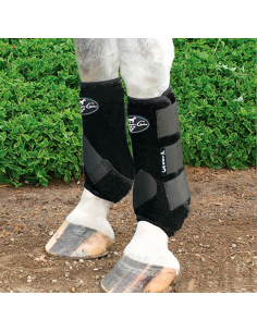 Protector Professional's Choice SMB3 (PAR)