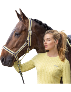 Oferta Cabezada HVP classic stripe 2