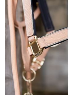 Oferta cabezada Harcour hansy halter y leadrope 2