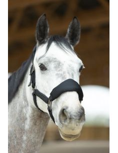 Oferta cabezada horsewear Dorai con ramal 2