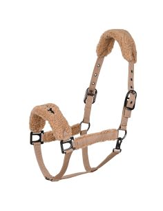 Oferta Cabezada HVPTeddy 2