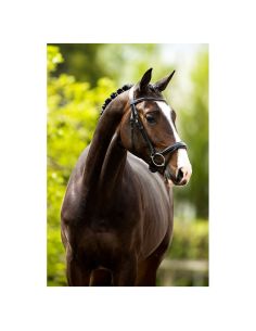 Oferta Cabezada BR Longridge 2