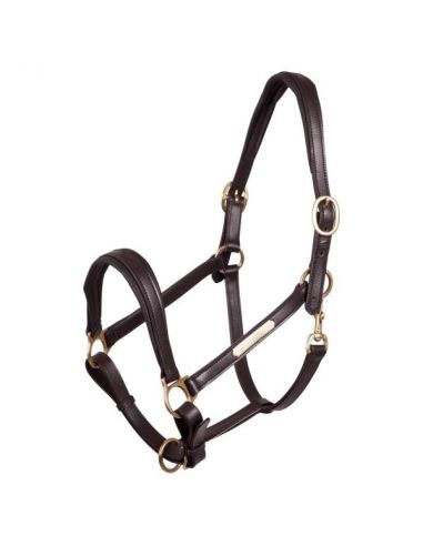 Cabezada de Cuadra Tattini Cuero con Insignia