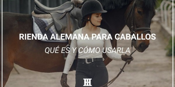 Qué es y para que sirve la Rienda Alemana para caballos