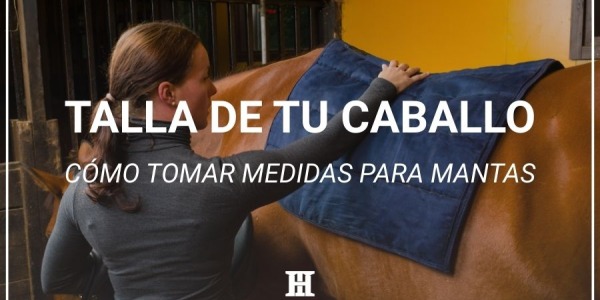 Cómo saber la Talla Ideal de una Manta para Caballo