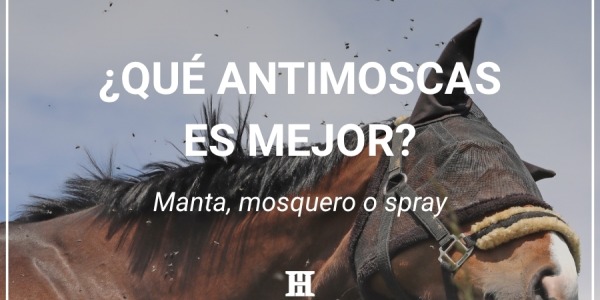 Cuál es el mejor antimoscas para caballos ¿manta, mosquero o spray?